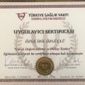 Resmi büyüt: certificate 3