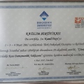 Resmi büyüt: certificate 7