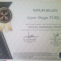 Resmi büyüt: certificate 9