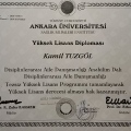 Resmi büyüt: certificate 2