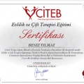 Resmi büyüt: certificate 14