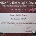 Resmi büyüt: certificate 12