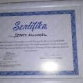 Resmi büyüt: certificate 1