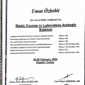 Resmi büyüt: certificate 16