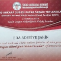 Resmi büyüt: certificate 8
