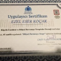 Resmi büyüt: certificate 1
