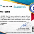 Resmi büyüt: certificate 7