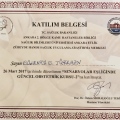 Resmi büyüt: certificate 13