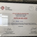 Resmi büyüt: certificate 2