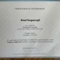 Resmi büyüt: certificate 9