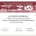 Resmi büyüt: certificate 23