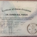 Resmi büyüt: certificate 13