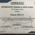 Resmi büyüt: certificate 9