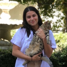 Resmi büyüt: Selin Tacir, Psikoloji İstanbul