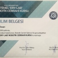 Resmi büyüt: certificate 11