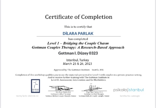 Dilara Parlak Tokat-8