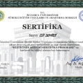 Resmi büyüt: certificate 15