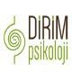 Dirim Psikoloji