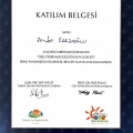 Resmi büyüt: certificate 19