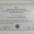 Resmi büyüt: certificate 1