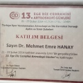 Resmi büyüt: certificate 7
