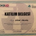 Resmi büyüt: certificate 4