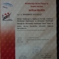Resmi büyüt: certificate 13