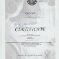 Resmi büyüt: certificate 17