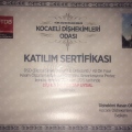 Resmi büyüt: certificate 3