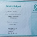 Resmi büyüt: certificate 2