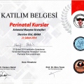 Resmi büyüt: certificate 10