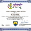 Resmi büyüt: certificate 6