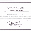 Resmi büyüt: certificate 9
