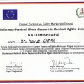 Resmi büyüt: certificate 17