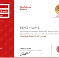 Resmi büyüt: certificate 16