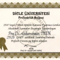 Resmi büyüt: certificate 3