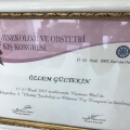 Resmi büyüt: certificate 13