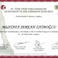 Resmi büyüt: certificate 16