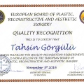 Resmi büyüt: certificate 1