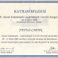 Resmi büyüt: certificate 28