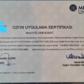 Resmi büyüt: certificate 4