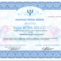 Resmi büyüt: certificate 13