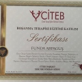 Resmi büyüt: certificate 10