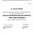 Resmi büyüt: certificate 16