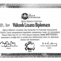 Resmi büyüt: certificate 2