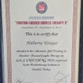 Resmi büyüt: certificate 4
