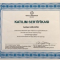 Resmi büyüt: certificate 13