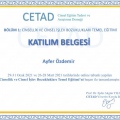 Resmi büyüt: certificate 7