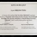Resmi büyüt: certificate 11