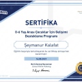 Resmi büyüt: certificate 17